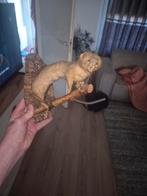 Opgezette Nerts op Houten Plak, Antiek en Kunst, Curiosa en Brocante, Ophalen