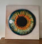 Canvas met oog, Ophalen of Verzenden