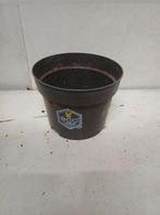 Kweekpotten 2 liter, Kunststof, Gebruikt, Info@krimpen.nl, Molenstraat 42
4758 AB Standdaarbuiten
Nederland