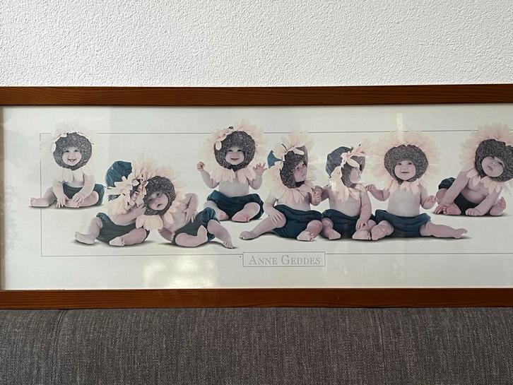 Anne Geddes Print - Zonnebloem Baby's, Huis en Inrichting, Woonaccessoires | Schilderijen, Tekeningen en Foto's, Print, Minder dan 50 cm