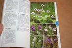 Elseviers bloemengids in kleur - Lippert, Podlech, Boeken, Ophalen of Verzenden, Gelezen, Bloemen, Planten en Bomen