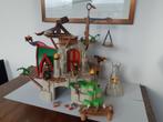 Playmobil 9243 - Berk, Kinderen en Baby's, Speelgoed | Playmobil, Ophalen of Verzenden, Zo goed als nieuw