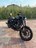 Harley Davidson Roadster Stage 1 (Sportster 1200, XL1200CX), Motoren, Motoren | Harley-Davidson, Chopper, Particulier, 1200 cc