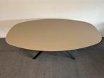 Ovale eettafel Fenix Castoro Ottowa 200x115, Huis en Inrichting, Tafels | Eettafels, 100 tot 150 cm, 200 cm of meer, Ophalen of Verzenden