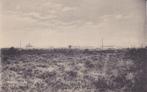 Den Dolder. Heidegezicht.  **, Verzenden, Voor 1920, Ongelopen, Utrecht