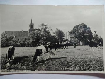 J1404 Nigtevecht beschikbaar voor biedingen