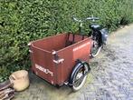 Babboe dog “elektrisch”, Fietsen en Brommers, Fietsen | Bakfietsen, Ophalen, Gebruikt, Elektrisch