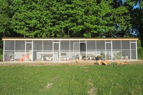 Zeer mooi/groot kippenhok volière. 12,5 x 4 meter. 5 hokken., Dieren en Toebehoren, Pluimvee | Toebehoren, Kippenhok of Kippenren