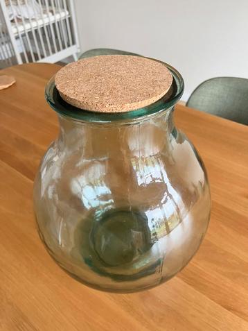 Glazen terrarium fles beschikbaar voor biedingen