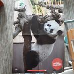 Panda poster Ouwehands, Nieuw, Ophalen of Verzenden