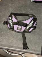 JULIUS K9 halsband - lila - XS/Mini-Mini, Ophalen, Zo goed als nieuw
