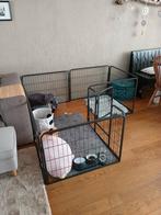 Stevige Puppyren 8 hoekig nieuw, Ophalen, Nieuw, 110 cm of meer, Minder dan 65 cm