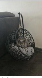 Eivormige hangstoel voor katten, Dieren en Toebehoren, Kattenmanden, Ophalen, Zo goed als nieuw