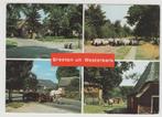 Westerbork Groeten Melkbussen Schaapskudde Paard, Verzenden, 1980 tot heden, Gelopen, Drenthe