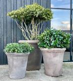 Toscaans aardewerk potten Grigio-Grijs Terracotta pot, 40 cm of meer, Nieuw, Terracotta, Tuin