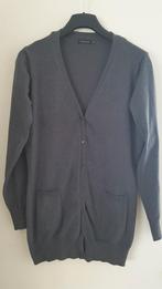 Maat XL.Grijs Pescara vest, Kleding | Dames, Truien en Vesten, Maat 46/48 (XL) of groter, Pescara, Ophalen of Verzenden, Zo goed als nieuw