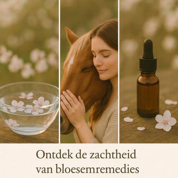 Natuurlijke ondersteuning ter ontspanning voor mens en dier beschikbaar voor biedingen