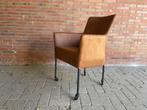 Eetkamerstoelen 6x wielen Camel L60 Bull aanbieding 6  actie