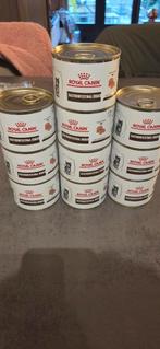 Royal canin dieet voer, Dieren en Toebehoren, Dierenvoeding, Ophalen of Verzenden, Kat