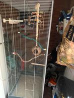 Te koop vogel voilere, Ophalen, Gebruikt, Aluminium, Volière