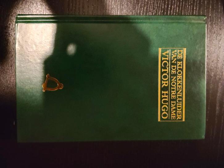 De Klokkenluider van de Notre Dame - Victor Hugo, Boeken, Literatuur, Gelezen, Nederland, Ophalen