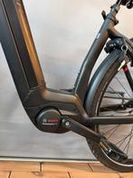 Elektrische fiets FLYER GOTOUR 6 Belt 625wh, Ophalen of Verzenden, Zo goed als nieuw, Overige merken, Versnellingen