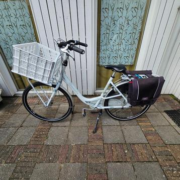 Gazelle Bloom beschikbaar voor biedingen
