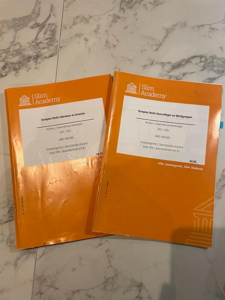 Slim Academy Europees Recht - UvA, Boeken, Studieboeken en Cursussen, Zo goed als nieuw, WO, Alpha, Ophalen of Verzenden