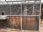 Paardenbox, Dieren en Toebehoren, Stalling en Weidegang, Stalling