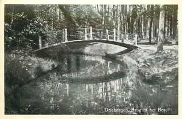 (388-323-013) Driebergen-Rijsenburg Brug in het Bos beschikbaar voor biedingen