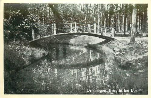 (388-323-013) Driebergen-Rijsenburg Brug in het Bos, Verzamelen, Ansichtkaarten | Nederland, Utrecht, Verzenden