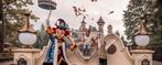 5 efteling e-tickets, Drie personen of meer, Ticket of Toegangskaart