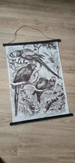 Vintage Papegaaien Print, Ophalen, 50 tot 75 cm, 50 tot 75 cm, Print