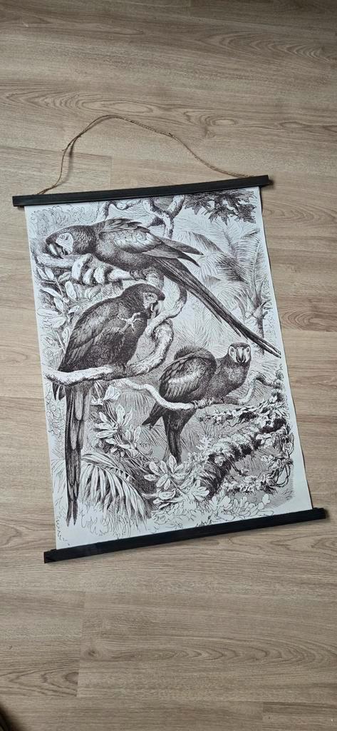 Vintage Papegaaien Print, Huis en Inrichting, Woonaccessoires | Schilderijen, Tekeningen en Foto's, Zo goed als nieuw, Print, 50 tot 75 cm