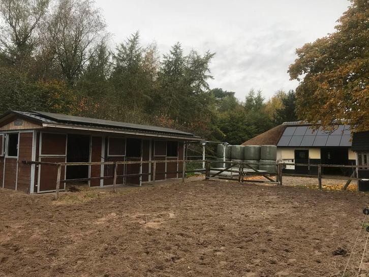 Paarden verzorging, Diensten en Vakmensen, Dieren | Paarden | Verzorging, Oppas en Les, Stalling of Weidegang, Verzorging of Verzorgpony's