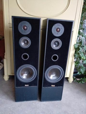 Magnat Vector 4 speakers  beschikbaar voor biedingen