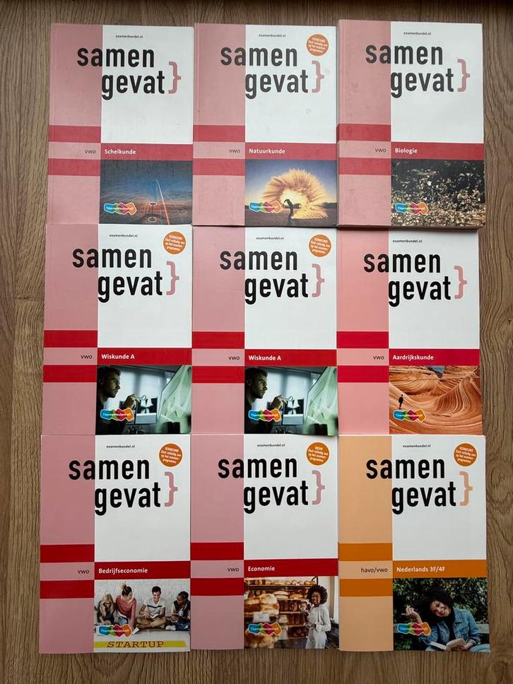 Samengevat -serie (VWO), Boeken, Schoolboeken, Zo goed als nieuw, VWO, Ophalen of Verzenden
