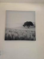 Canvas schilderij met boom, 50 tot 75 cm, Nieuw, Ophalen of Verzenden, Schilderij