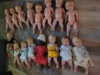 Wildebras poppen, Ophalen of Verzenden, Babypop