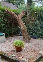 Wit siergrind gratis ophalen, Tuin en Terras, Grind, Keien en Split, Ophalen