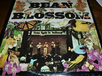   Bean Blossom MCA  2LP  US  1973   beschikbaar voor biedingen