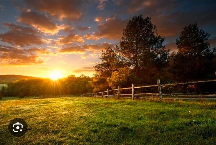 Stalling en of weidegang in eigen beheer gezocht., Dieren en Toebehoren, Stalling en Weidegang, Stalling, Weidegang