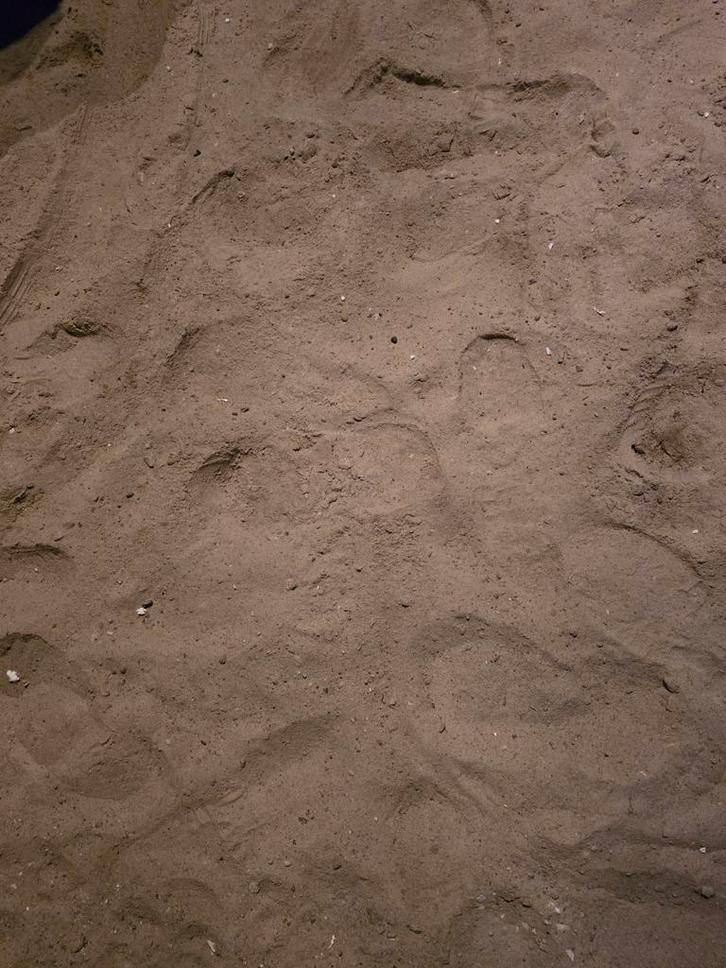 Gratis geelzand af te halen dit weekend!, Tuin en Terras, Zand, Gebruikt, Ophoogzand, Ophalen of Verzenden