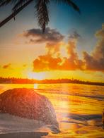 Inductiebeschermer - Strand - Zee - Palmboom - Zonsondergang, Ophalen of Verzenden, Gebruikt, Print, Minder dan 50 cm
