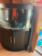 HoekAquaria, Dieren en Toebehoren, Vissen | Aquaria en Toebehoren, Ophalen, Gebruikt, Leeg aquarium