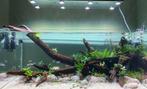 Mooi en compleet ILA aquarium 120cm Optic White, Dieren en Toebehoren, Vissen | Aquaria en Toebehoren, Ophalen, Gebruikt, Leeg aquarium