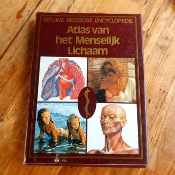 Atlas van het Menselijk Lichaam - Medische Encyclopedie beschikbaar voor biedingen