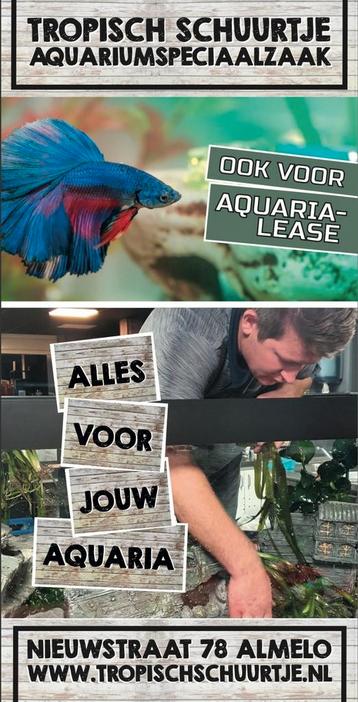 Let op wij zijn gesloten van  beschikbaar voor biedingen