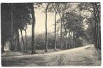 O111 Oranjewoud  Vijfsprong bij  Hotel Tjaarda, Verzamelen, Verzenden, 1920 tot 1940, Gelopen, Friesland