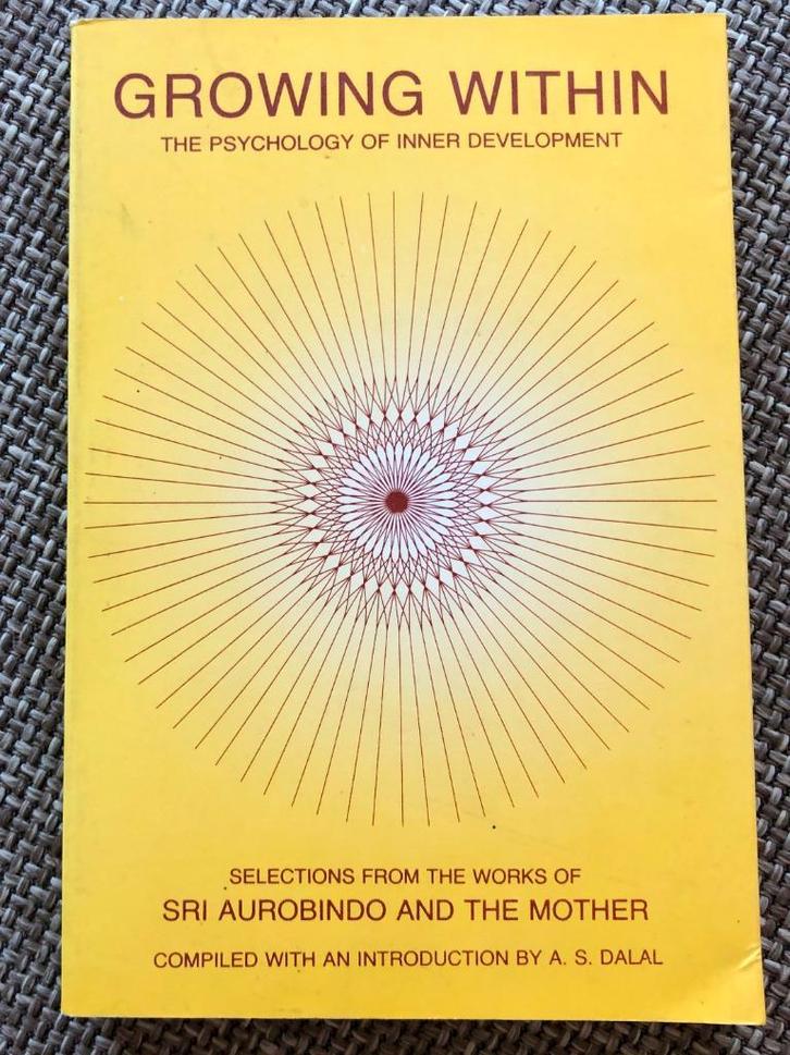 Growing within Psychology of Inner Development, Boeken, Psychologie, Zo goed als nieuw, Functieleer of Neuropsychologie, Ophalen of Verzenden
